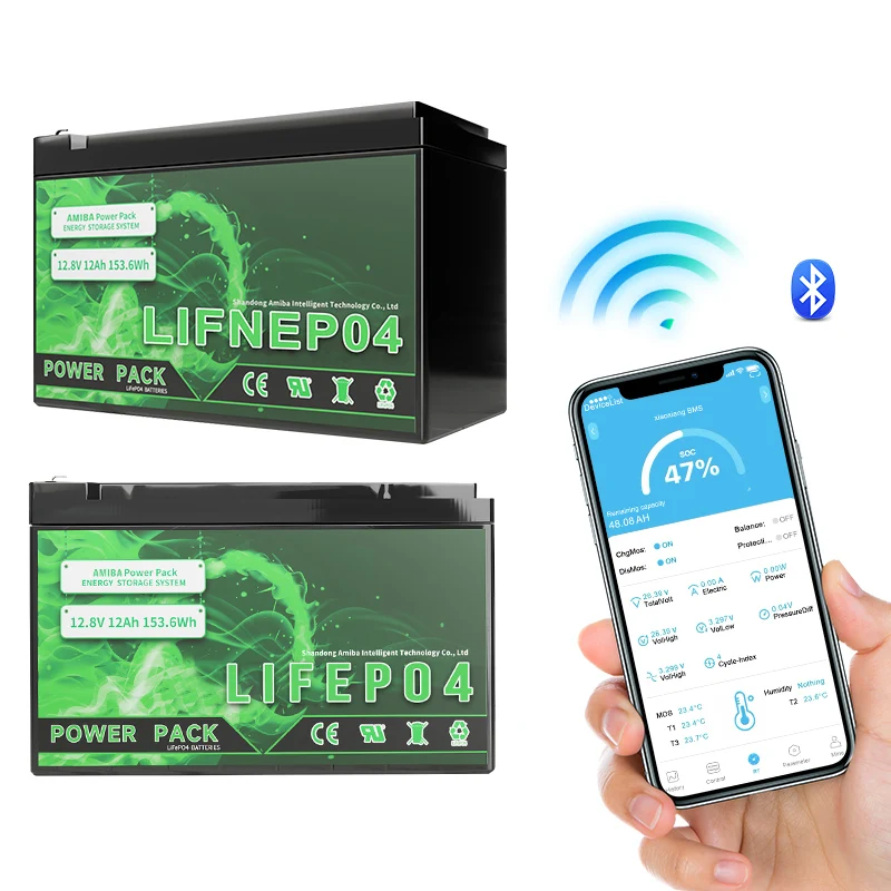 12 volt wholesale price of lithium ion batteries solar 100ah 24v lithium battery 12v lifepo4 battery