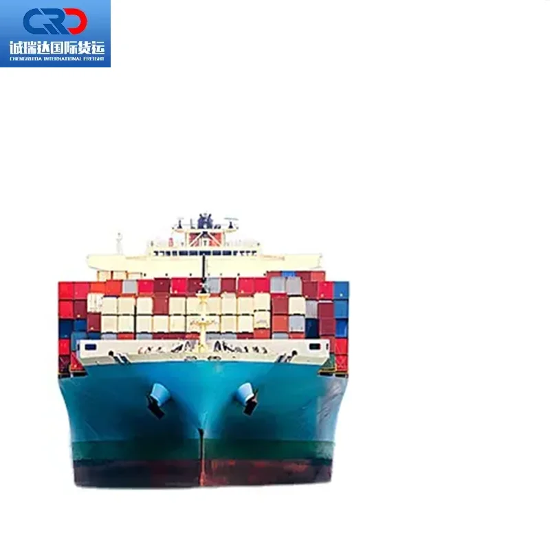 Logistic Service DDP Cargo Ship Agent UPS DHL Express Sea Shipping Air Freight Forwarder China to Spain USA Mexico CA