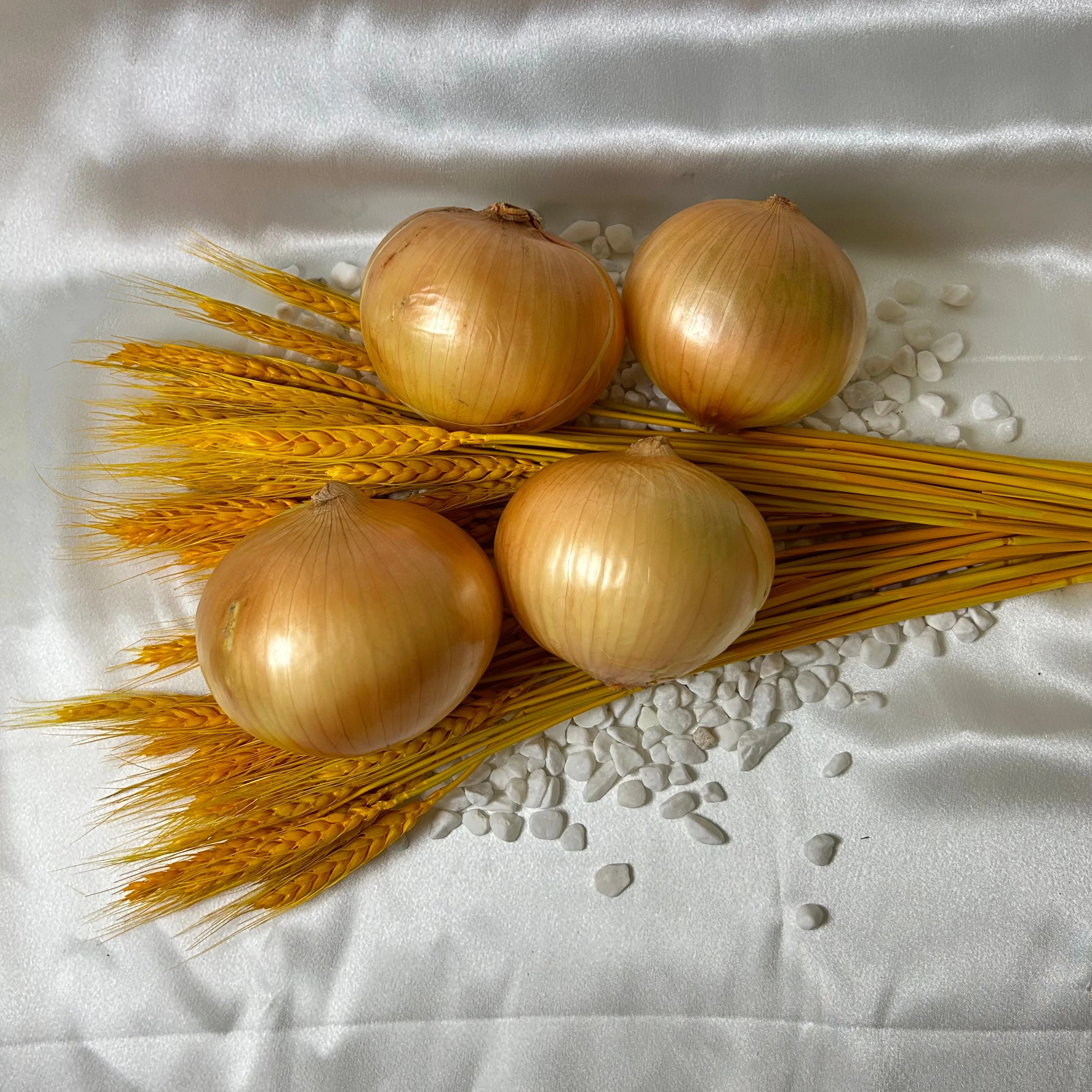 High Quality Yellow Onion New Crop China Fresh Yellow Onion Low Price Natural Healthy Yellow Onion Wholesale