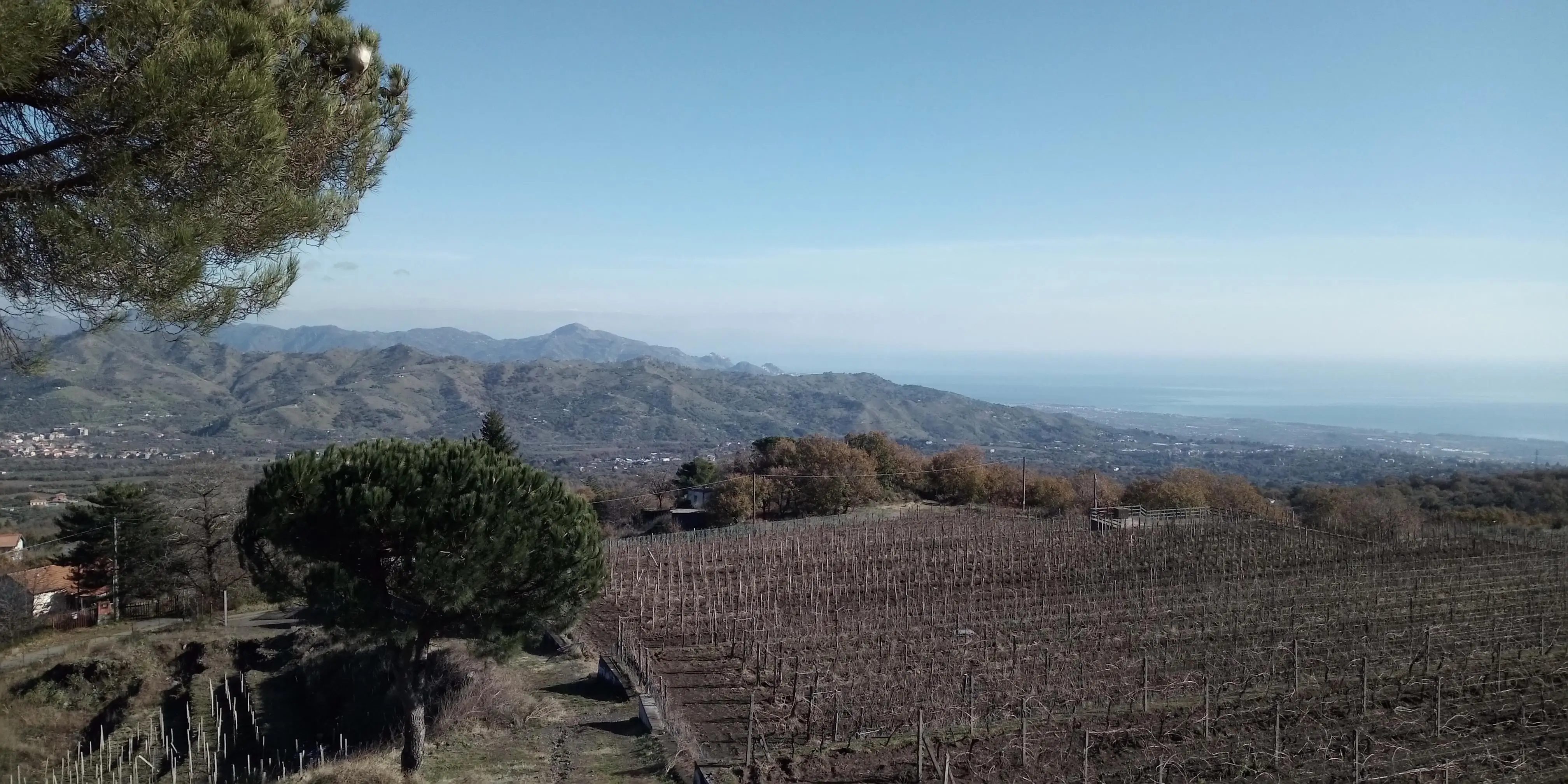 
Etna Wine Tasting Half Day Excursion 