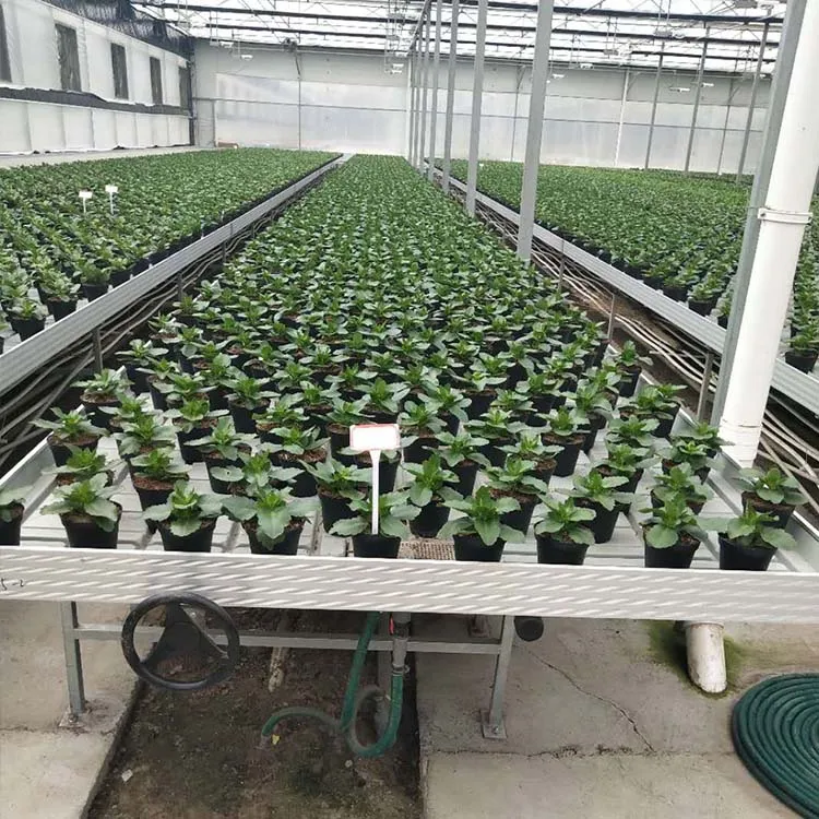 Customizable agriculture seedbed system table seedbed ebb and flow rolling bench