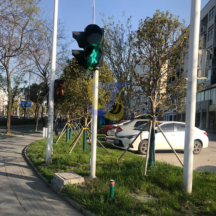  Китай отличное качество 3 м световой полюс пешеходные