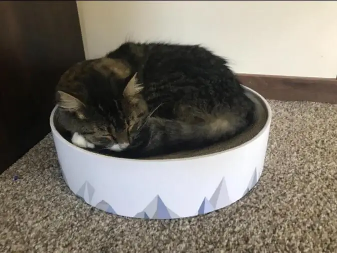 custom corrugated cardboard 2in1 Durable Modern Cat scratching pad Lounge cat scratcher Couch Bed for indoor cats