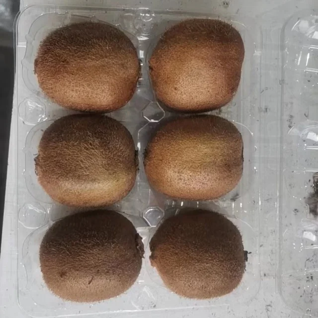 Premium Fresh Nutritious Green Kiwifruit High Quality Kiwi Fruits