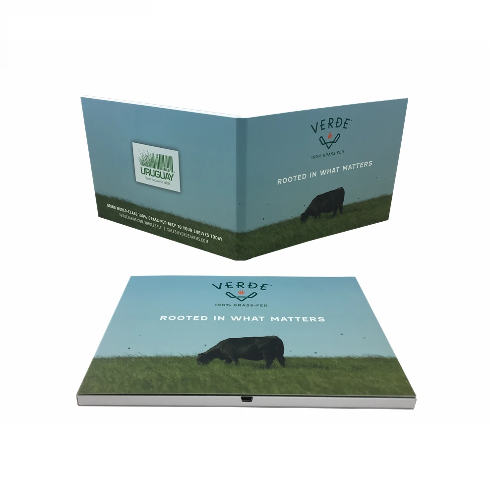 IPS Screen 7 Inch 2G Memory A5 A4 Size Digital Module LCD Video Brochure Card Digital Catalog Advertising Card