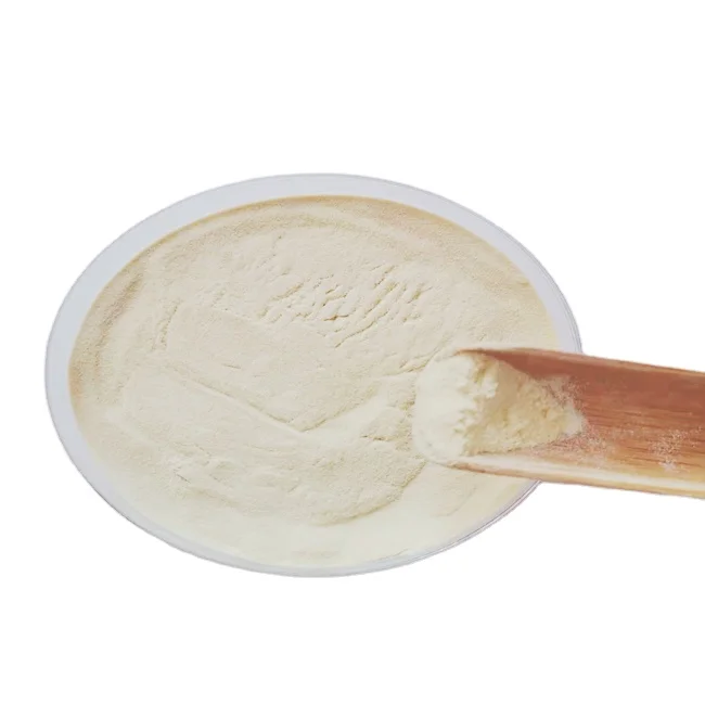 Cheap Price China Oyster Collagen Manufacturer Distributor Halal Peptide Powder