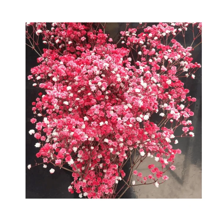  Консервированный цветок babysbreath для домашней цветочной композиции 1 комплект из 100-120 граммов изготовления изделий ручной