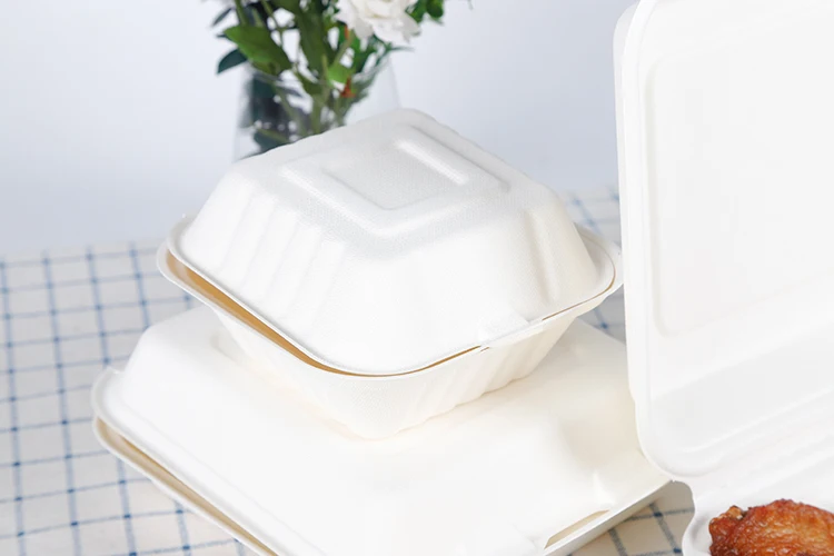 8 inches disposable Sugarcane Bagasse fiber paper clamshell food packaging box