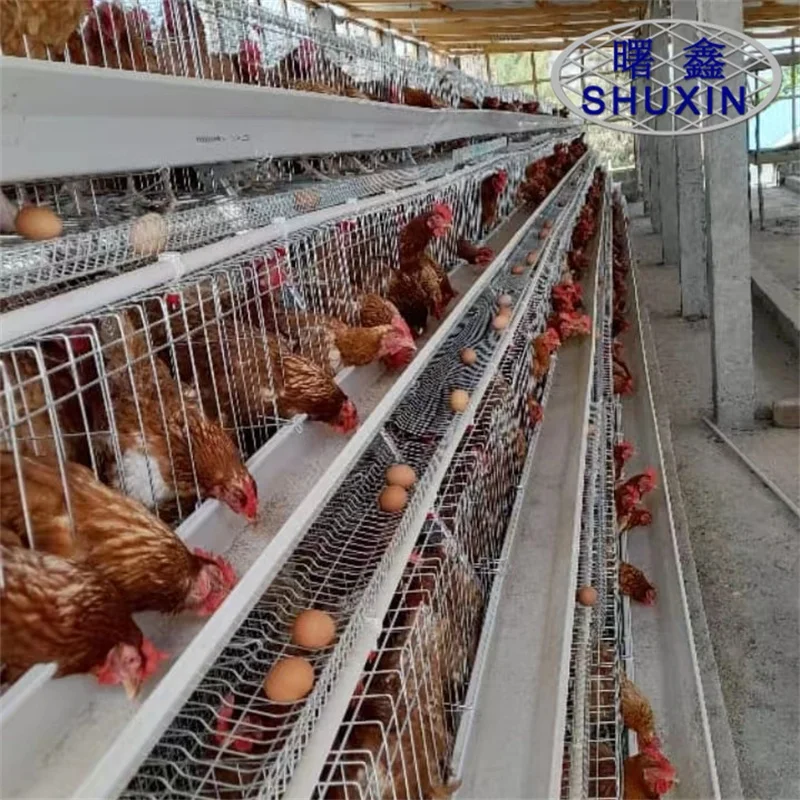 3-5 Tiers A Type Chicken Cages Egg Equipment For Mozambique Farm