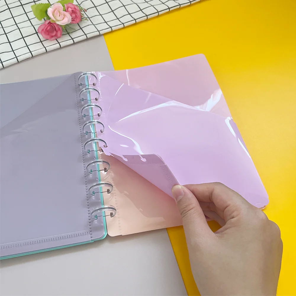 Five-color binder with pocket and label plastic page protector, which can be inserted into index separator.