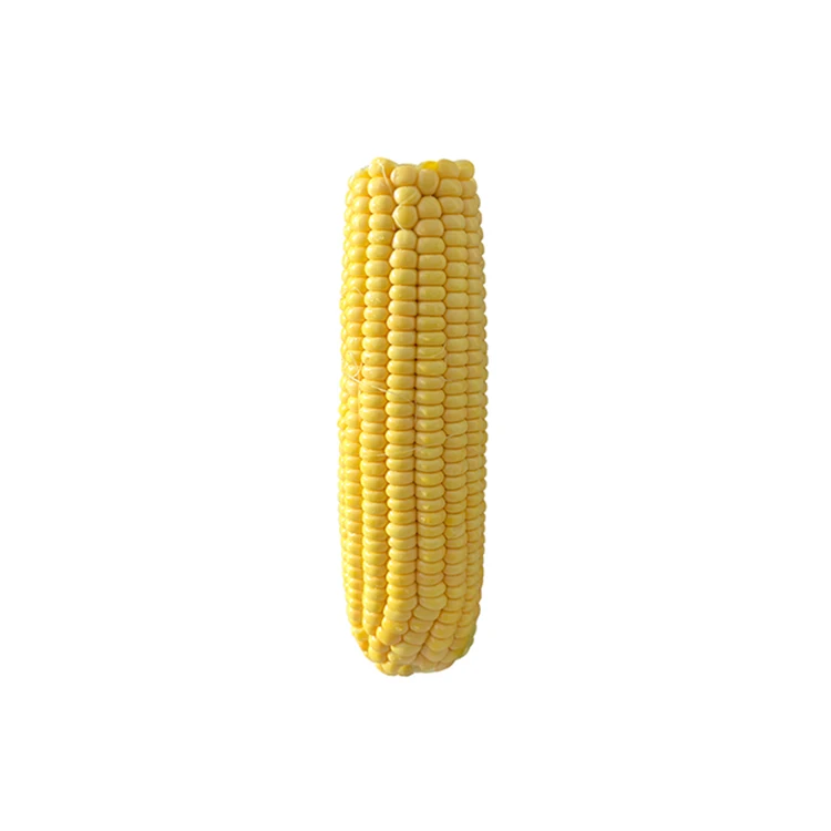 China Manufacturer Direct Wholesale Yellow Fresh Sweet Corn