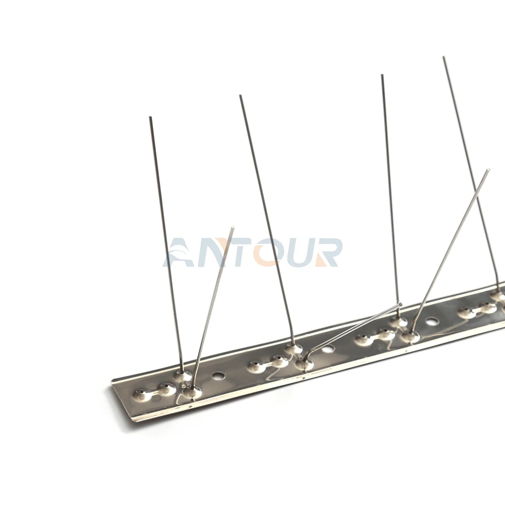 Pest Bird Control Equipment stainless steel ss 201 304 316 base and pins anti pigeon Bird Spikes