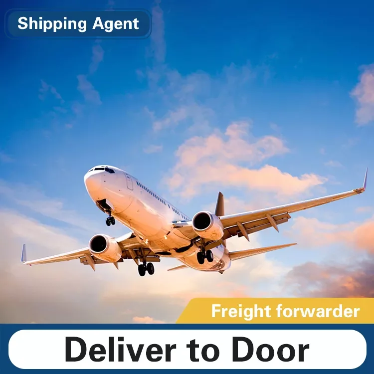 DDP/DDU forwarder Sea Freight china to pakistan/usa USD/RMB agency