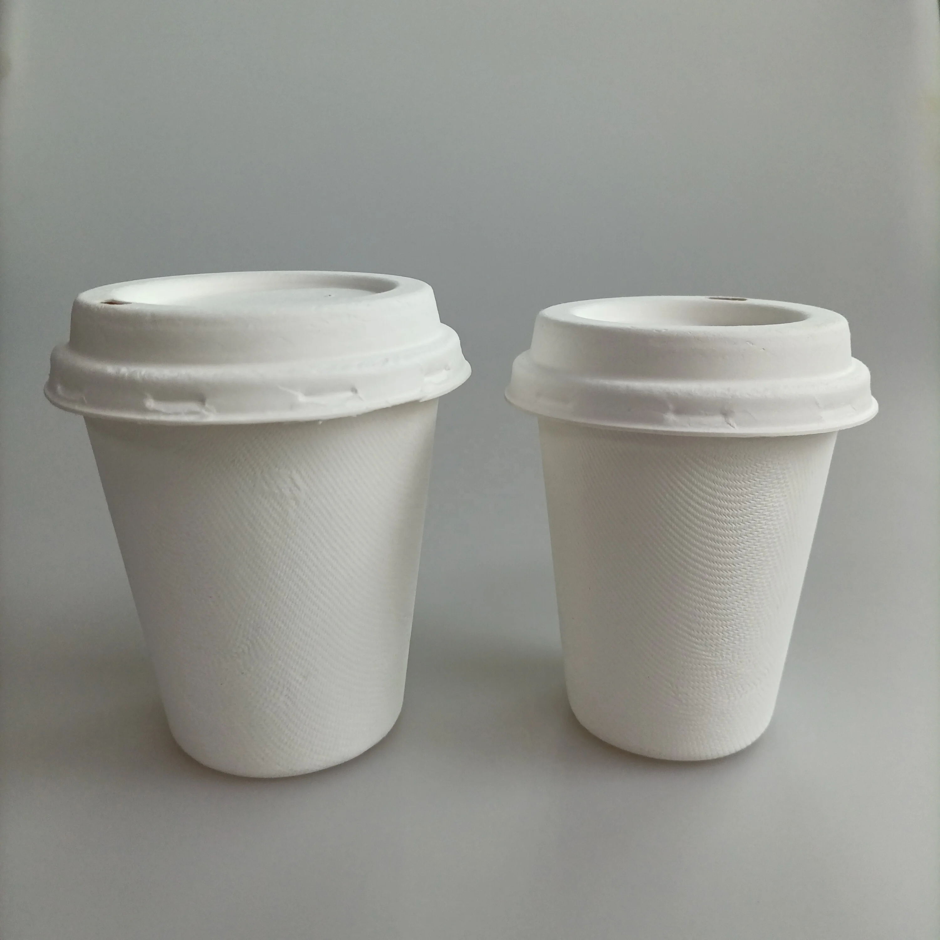 Hot Coffee Paper Cup With Bagasse Compostable Disposable Biodegradable Cups With Lids 12Oz Compostable Coffee Cups Lid