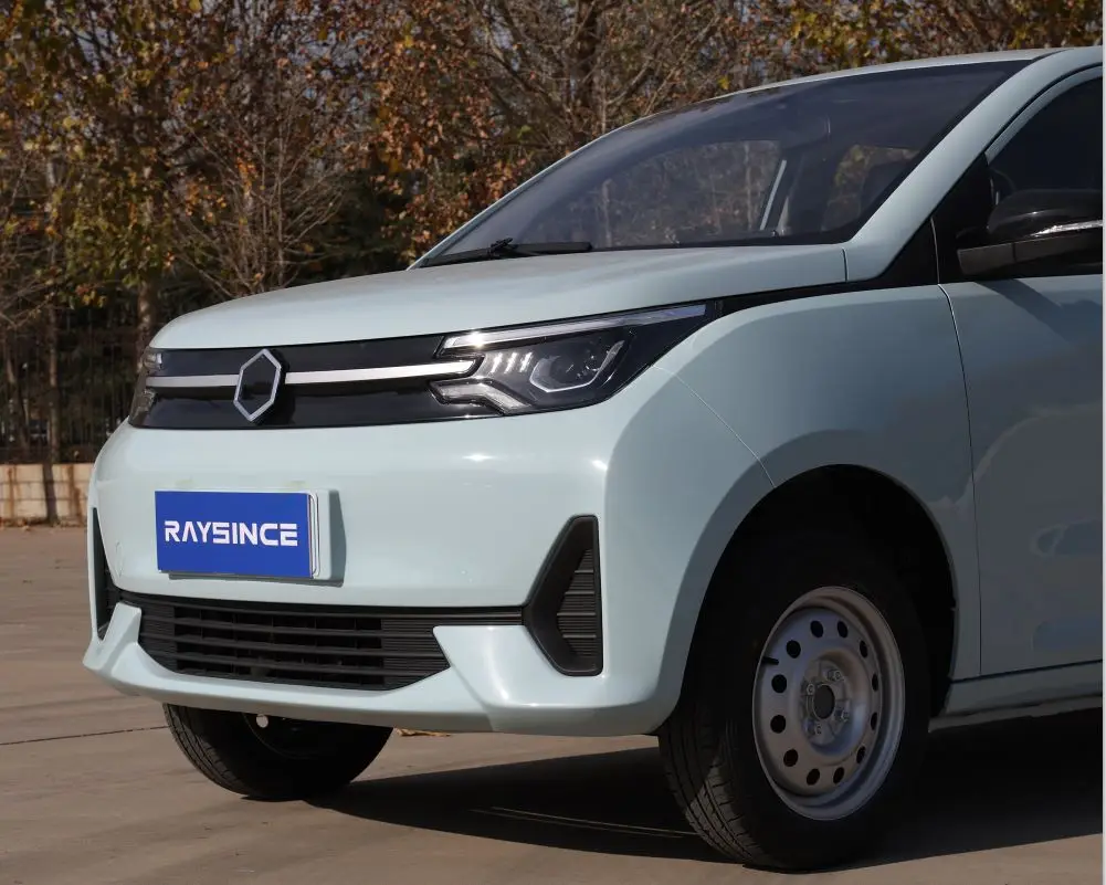 Raysas четырехколесный автомобиль маленькие электромобили для взрослых