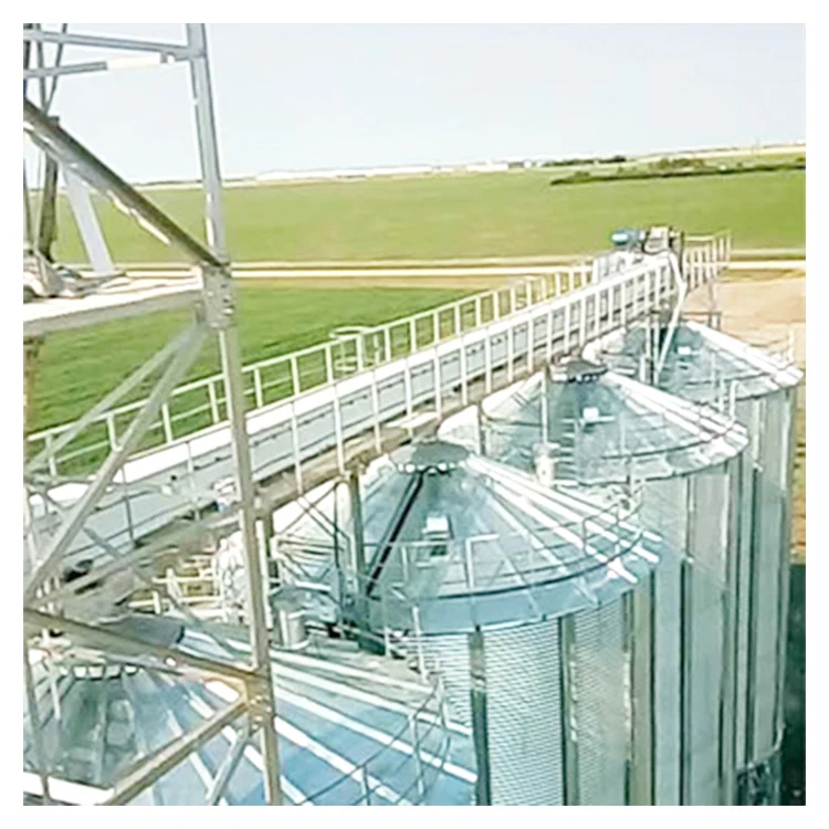 Traction conveyor, used conveyor system, overhead traction conveyors, sale