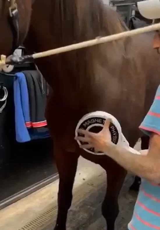 Best Physio Magneto Plus Nirs  Pemf Magnetic Therapy Device Horse Infrared Light Therapy Magnetic Physical Therapy