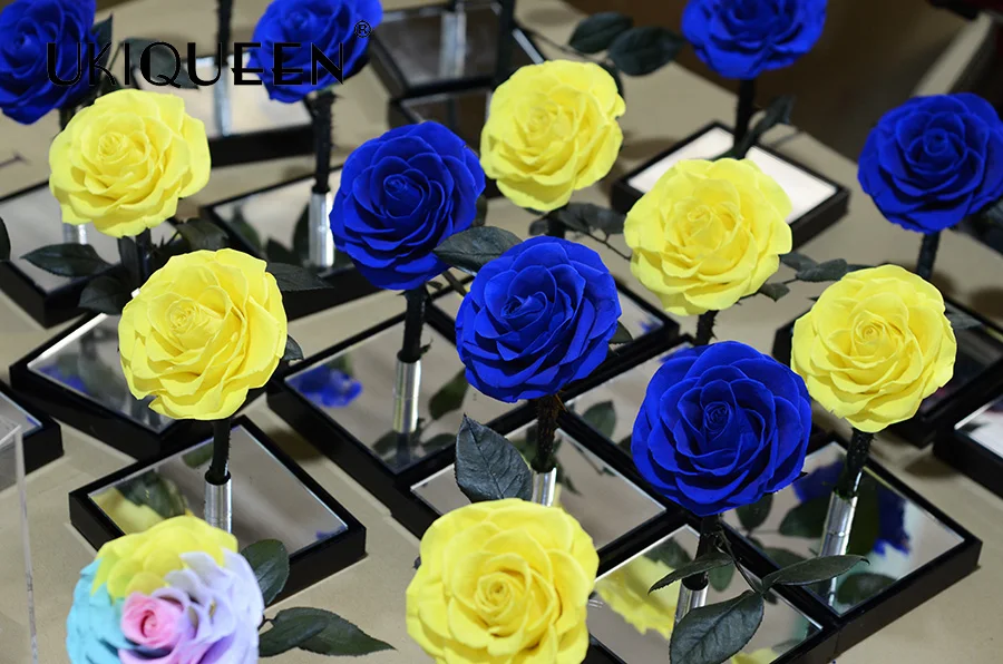 2023 New Idea Dried Real Natural Forever Immortal Flower Eternal Preserved Rose In Acrylic Mirror Flower Box
