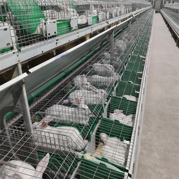 Factory Supply Rabbit Cage for Sale/Poultry Farming Equipment