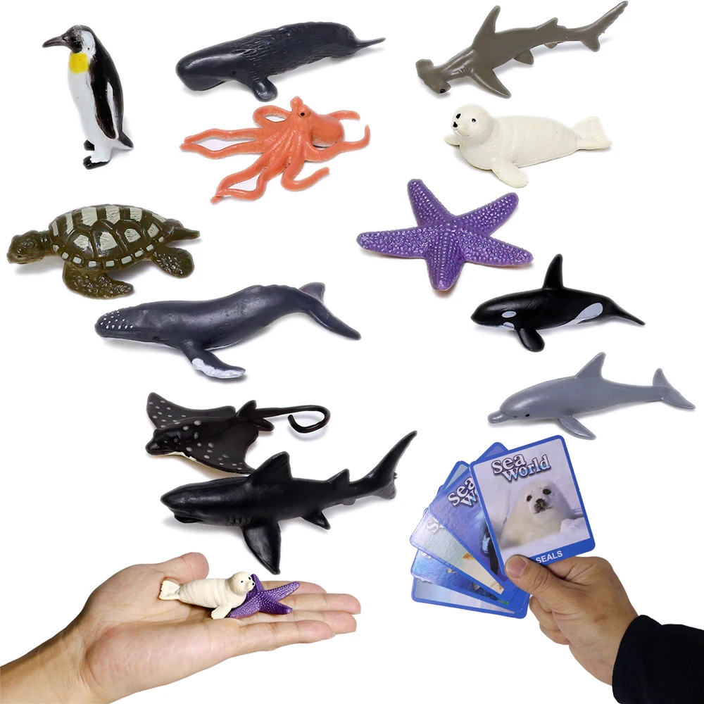 With family name card solid simulation PVC model learning gift early education sea animals toys