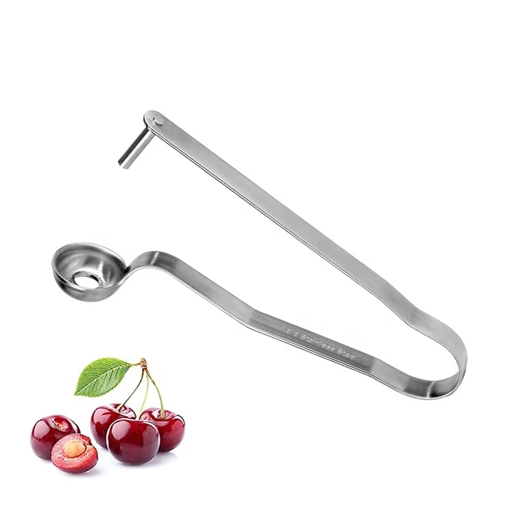 Kitchen Gadget Stainless Steel Putter Red date hawthorn Cherry Olive Plum Sheller Fruit Jujube Corer Seed Remover