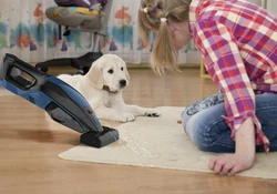 Spot Cleaner, Pets Cleaning Wet And Dry Vacuum Cleaner, Carpet Stain Remover with Glass Cleaning Assessories