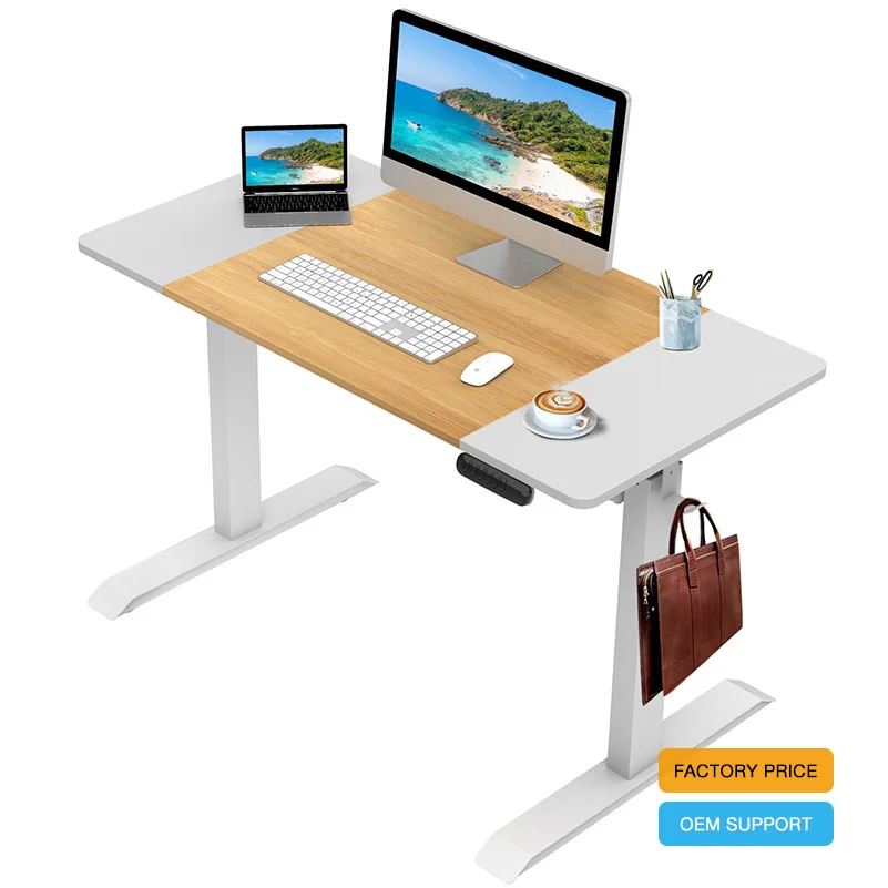 Ergonomic Electric Height Adjustable Standing 120 x 60 cm Computer Desk & Workstation Table Sit Stand Up Desk