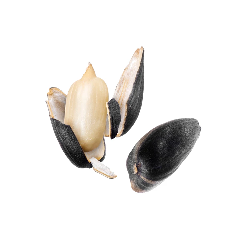 2023 Best quality sunflower seeds protecting the body at the cellular level from damage by free radicals