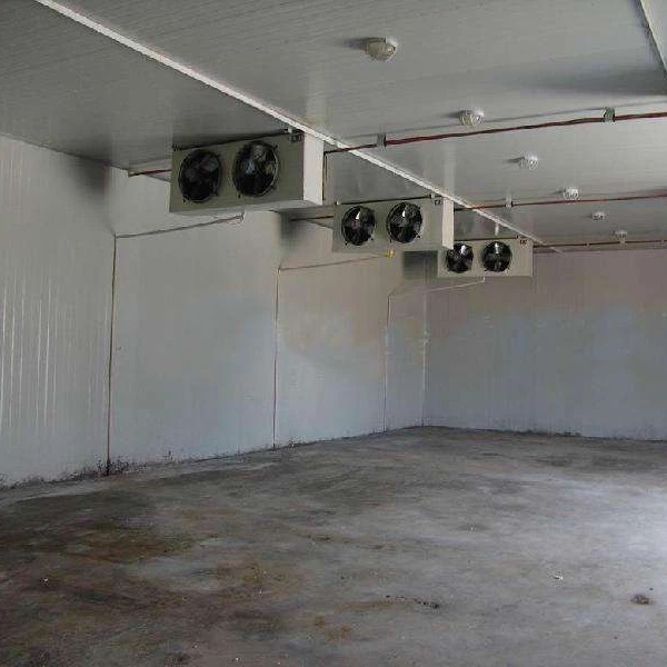 
3HP Emerson Copeland small size cold room refrigeration equipment cold storage for vegetable and fruit 