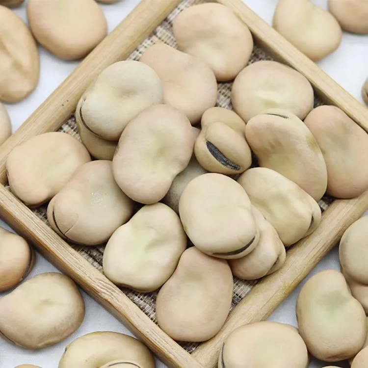 2021 new crop hot selling cheap price dry brown broad beans