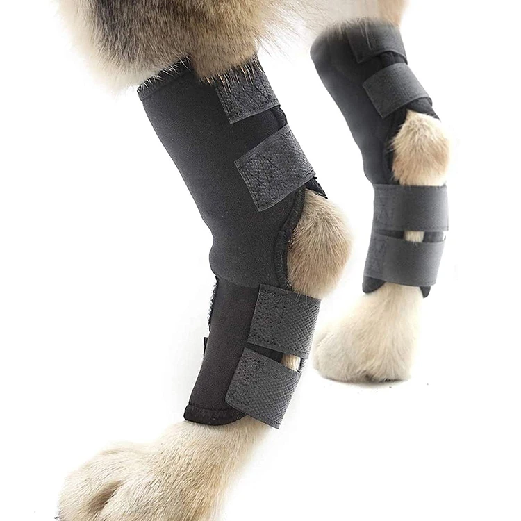 Hot Selling Recovery Breathable Protector Sleeve Dog Knee Legs Dog Hock Brace Avoid Licking Injured Leg