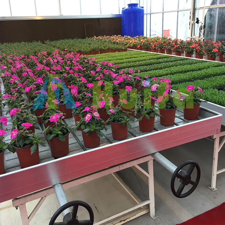 New style adjustable seedbed galvanized rolling greenhouse bench