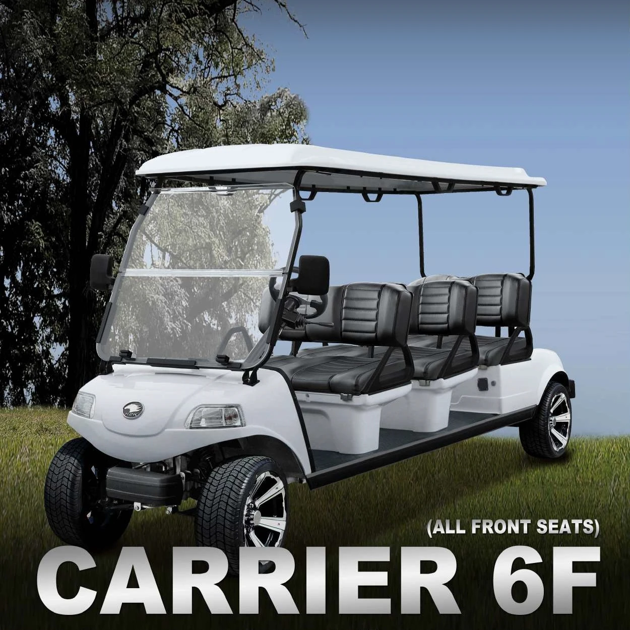 golf buggy motorbike HDK EVOLUTION Sightseeing Mini Bus Club Car 6 8 Seat 48V Utility Electric Golf Cart For Sale