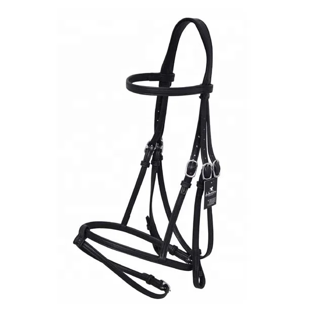 Leather Bridle
