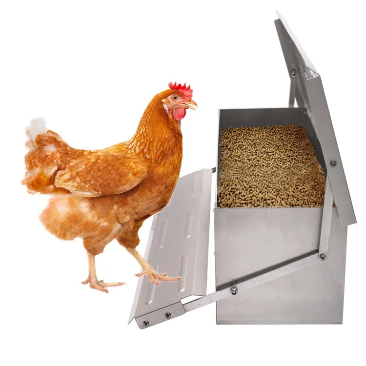 Wholesale anti-stolen galvanized steel farming poultry feeder automatic chicken bird feeders for chicken