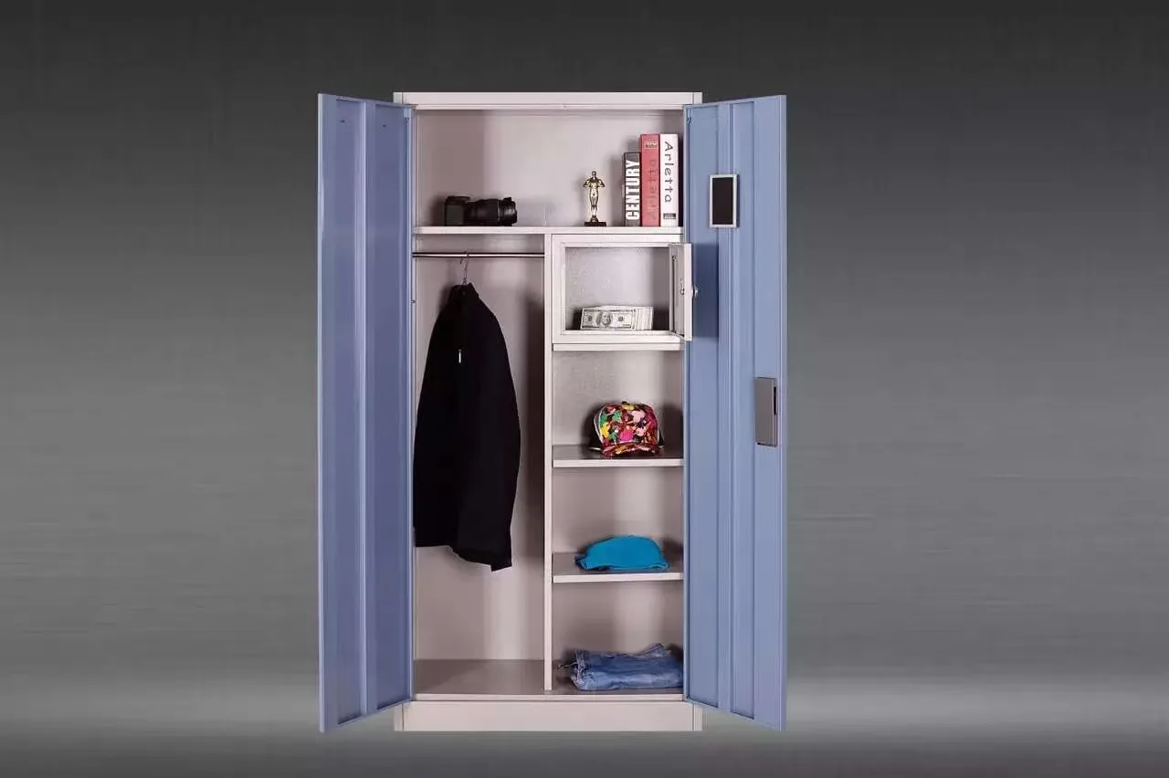 2021 New Design Amoires Bedroom Furniture Modern 2-Door Metal Wardrobe Steel Almirah Clothes Closet for Home Use or School