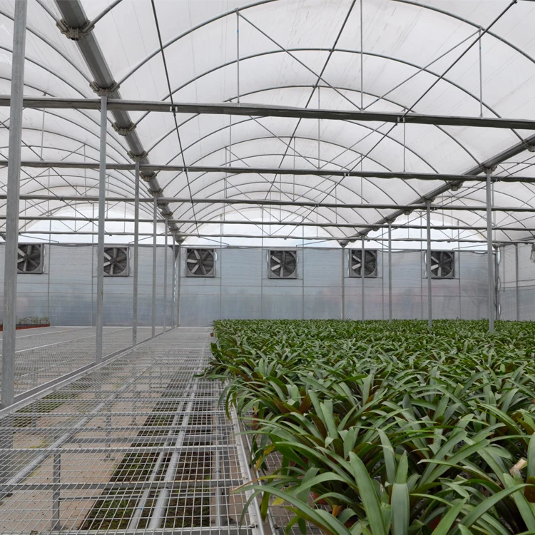 MYXL greenhouse roof exhaust ventilation fan
