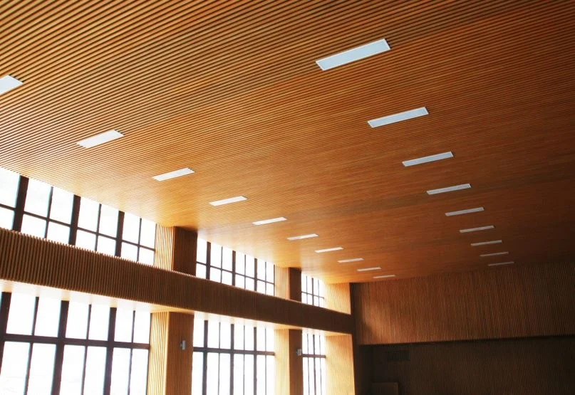 High Quality Wood Finish Fashion Extruded WPC Beam Baffle False  Wpc Suspended Ceiling Panels