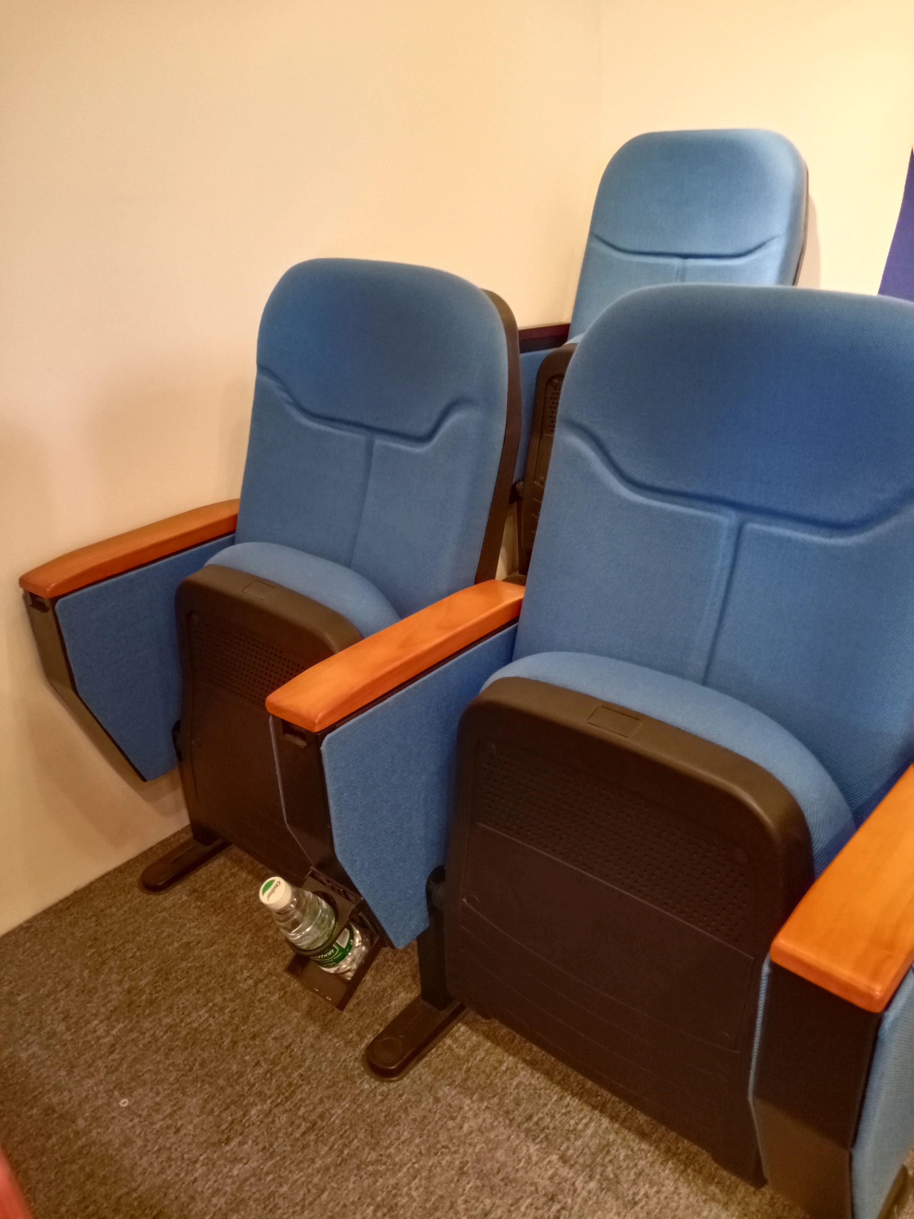 VVIP auditorium seats VIP stadium chair seats hall seats