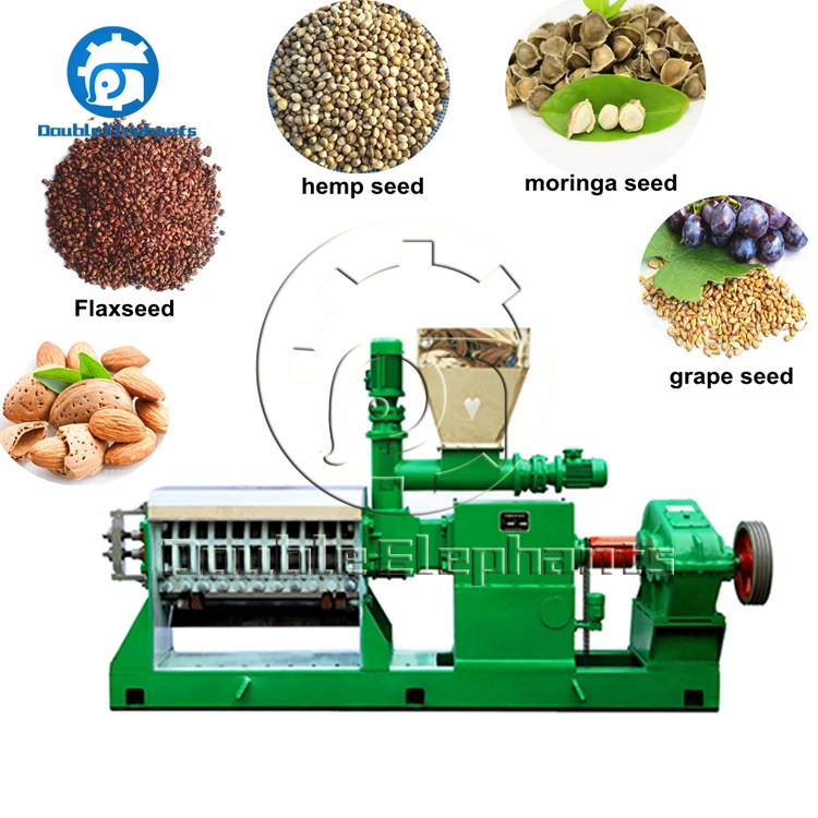 20t/D Twin Screw cold screw press oil machine cold press for oil seed peanut oil cold press