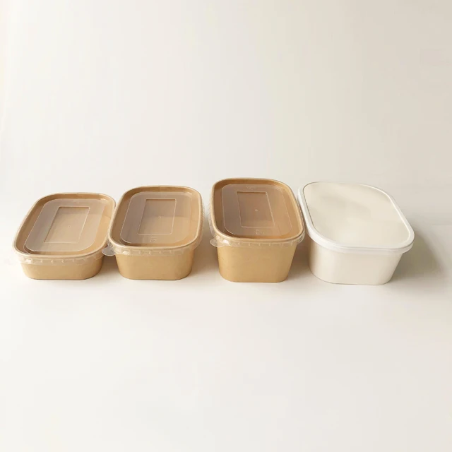 100% Disposable wholesale eco-friendly food grade paper tray with lid