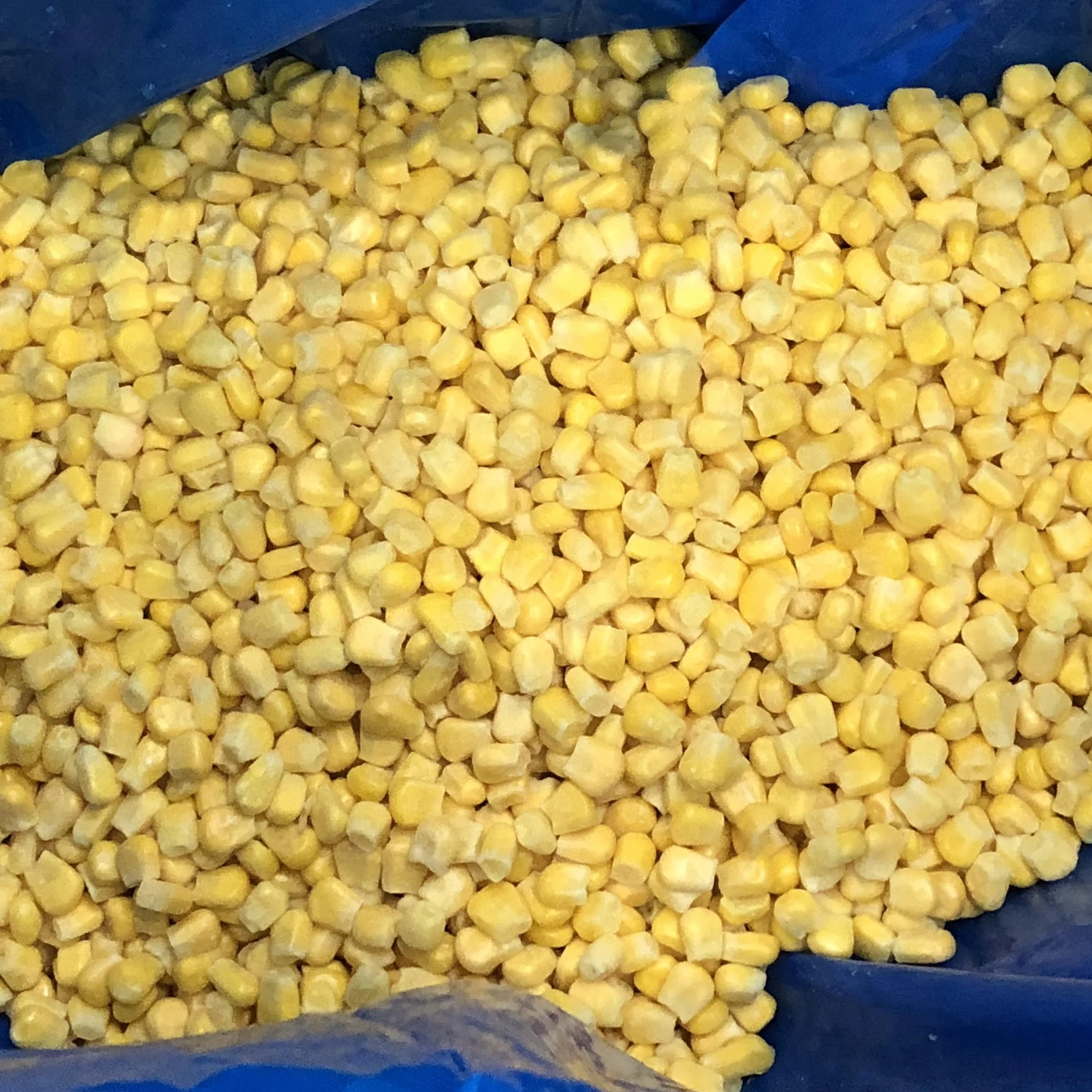 Fast Food Reduced Fat Meal Frozen Food Sweet Corn Kernel