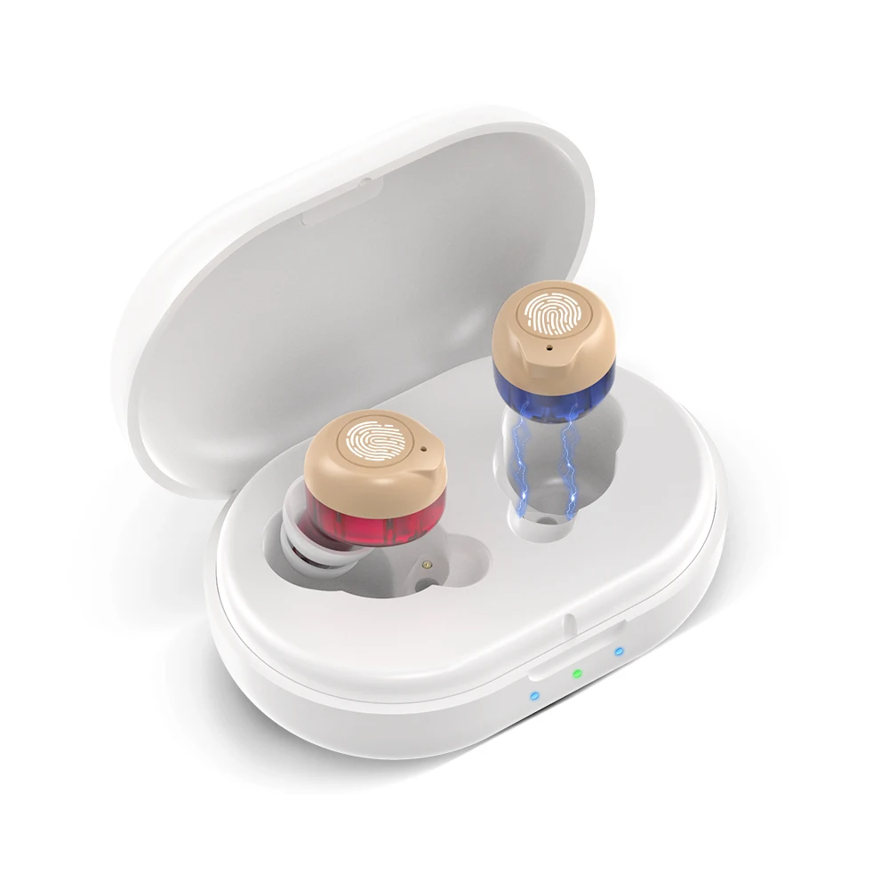 Blue and Red RL Hearing Ampilifer CIC ITE Comfort Audio New Sound Hearing aids Sale of Hearing Aid for Deafness