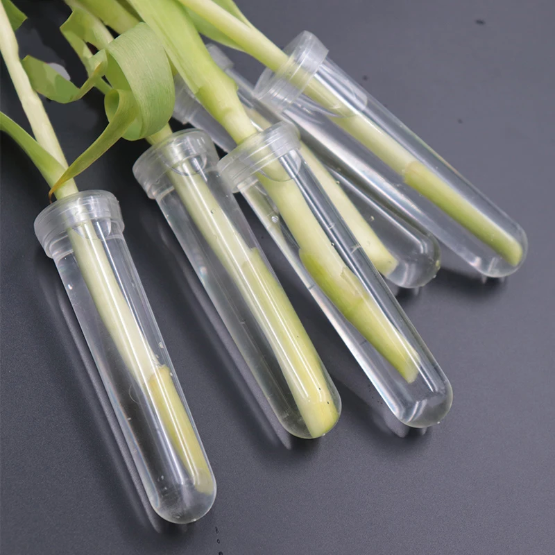 Flower Floristry Plant Cultivation Tool Material Crystal Flower Tube