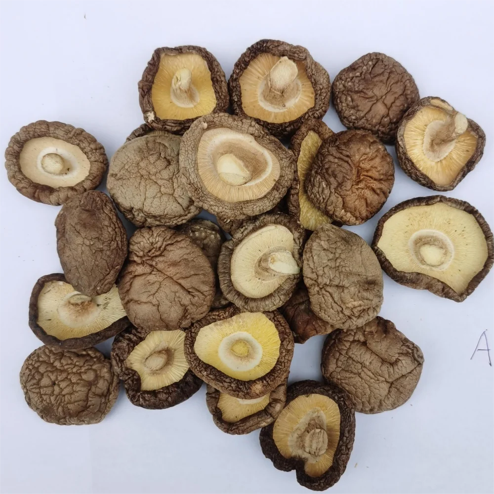 Type AA shiitake mushrooms dried mushroom