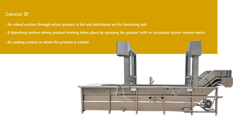 blanching equipment