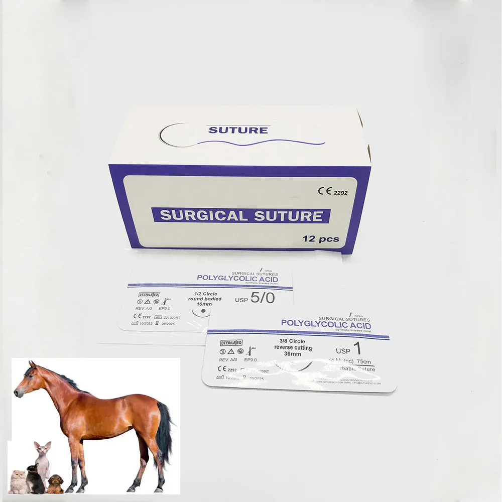 _20230421224903 .jpg