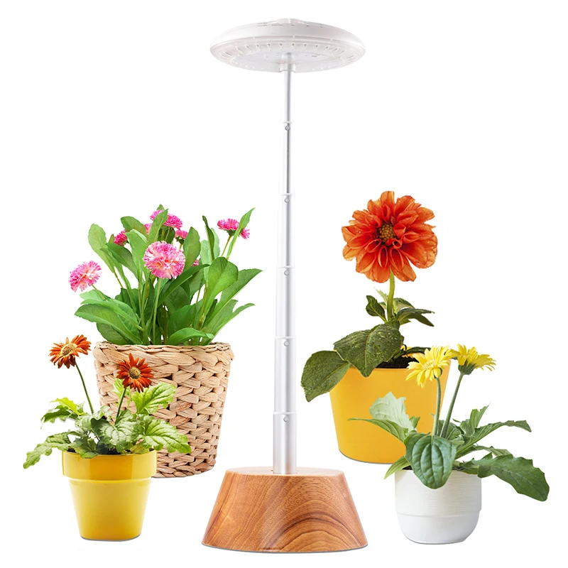 led grow light