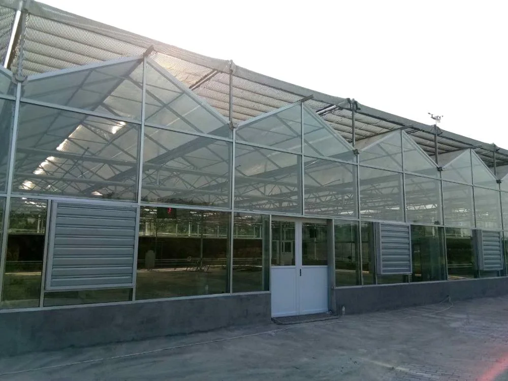 Pad and fan greenhouse cooling system exhaust cooling fan