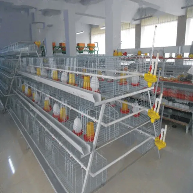 
Производитель Цинчжоу, дизайнерские клетки для цыплят 